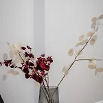 Apartment Koletek 7 Near The Wawel Castle *